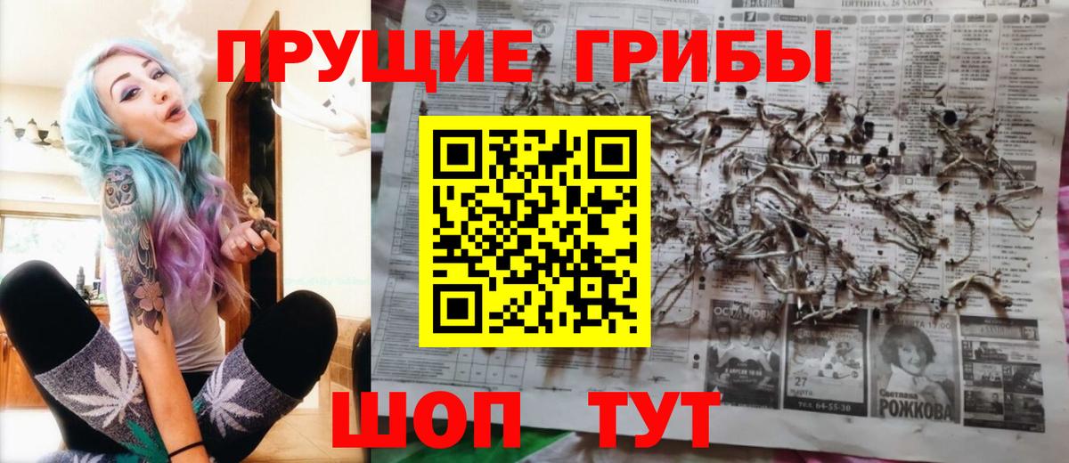закладки  Вход с VPN  Богородицк  Псилоцибиновые грибы мицелий 